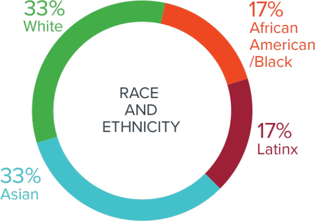 2019-20 Innovation Fellows by Race and Ethnicity